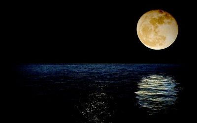 La luna dei fiori: l’ultima Superluna dell’anno!